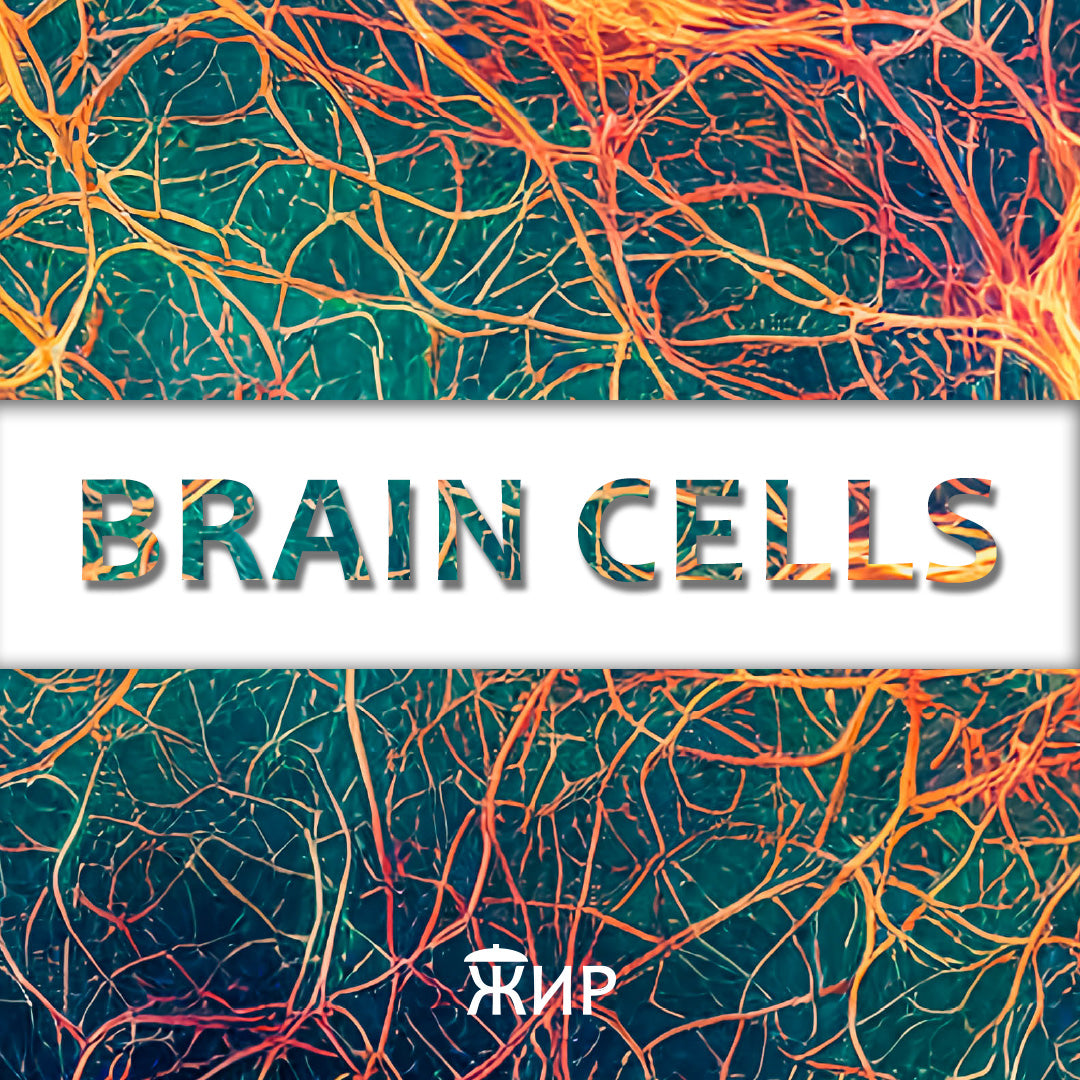 Brain Cells