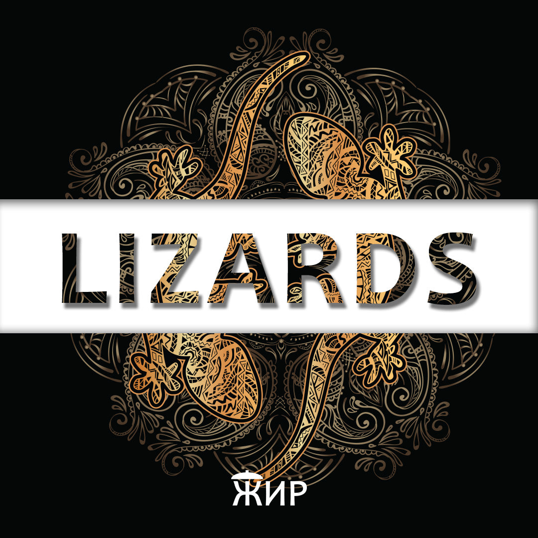 Lizards