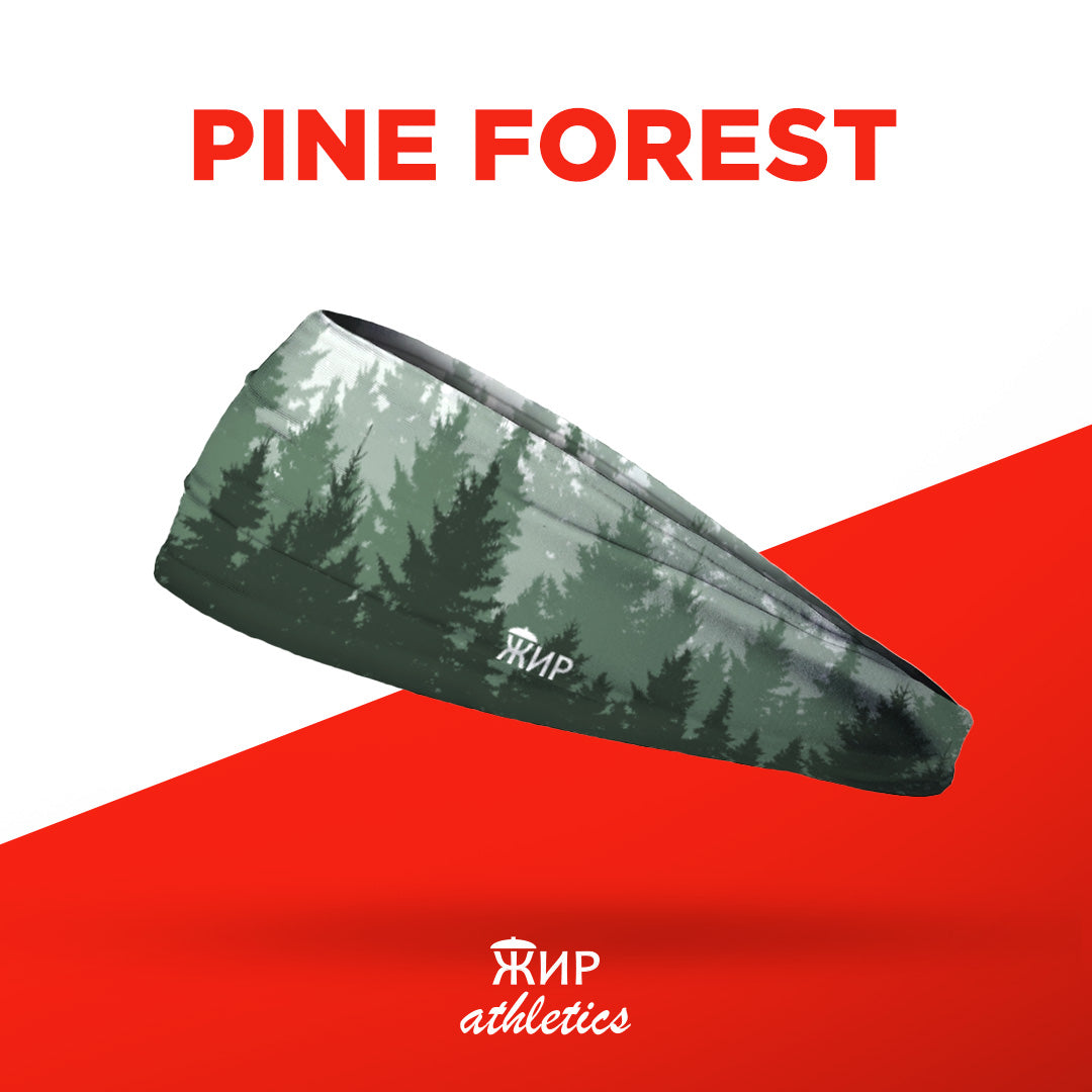 Pine Forest