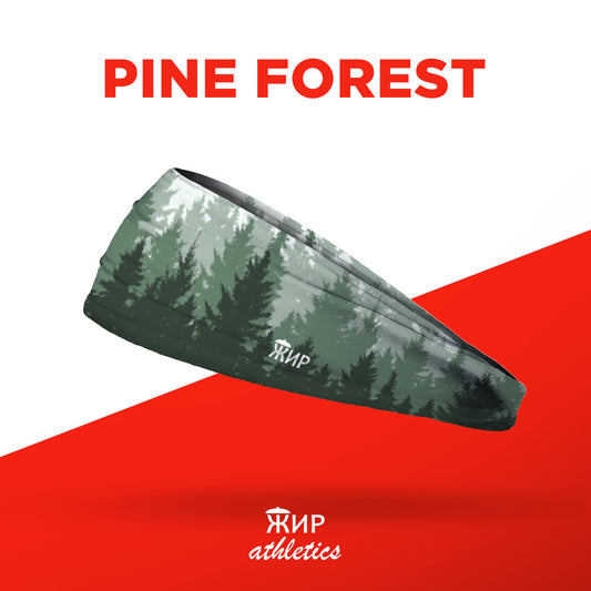 Pine Forest