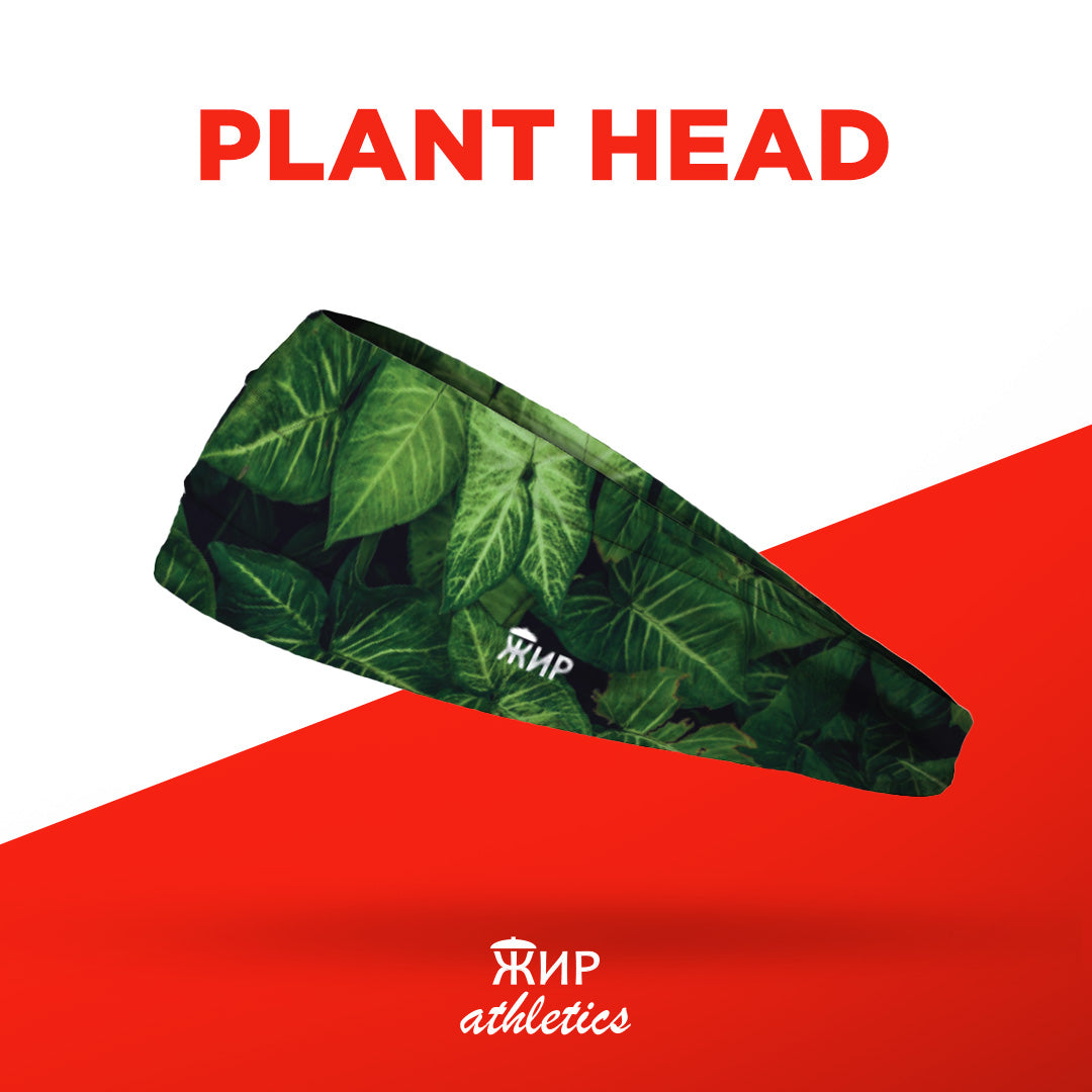 Plant Head