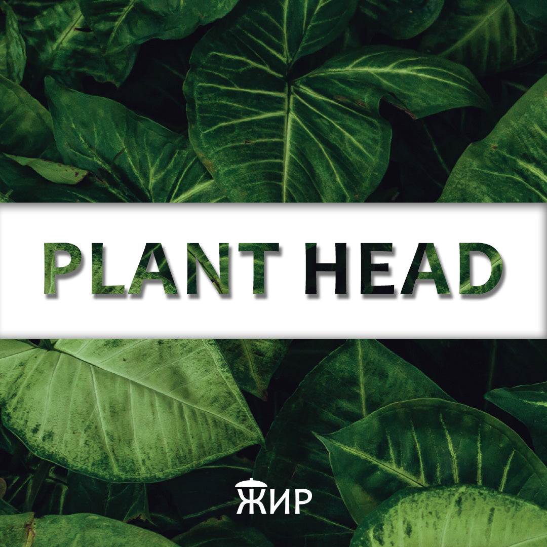 Plant Head