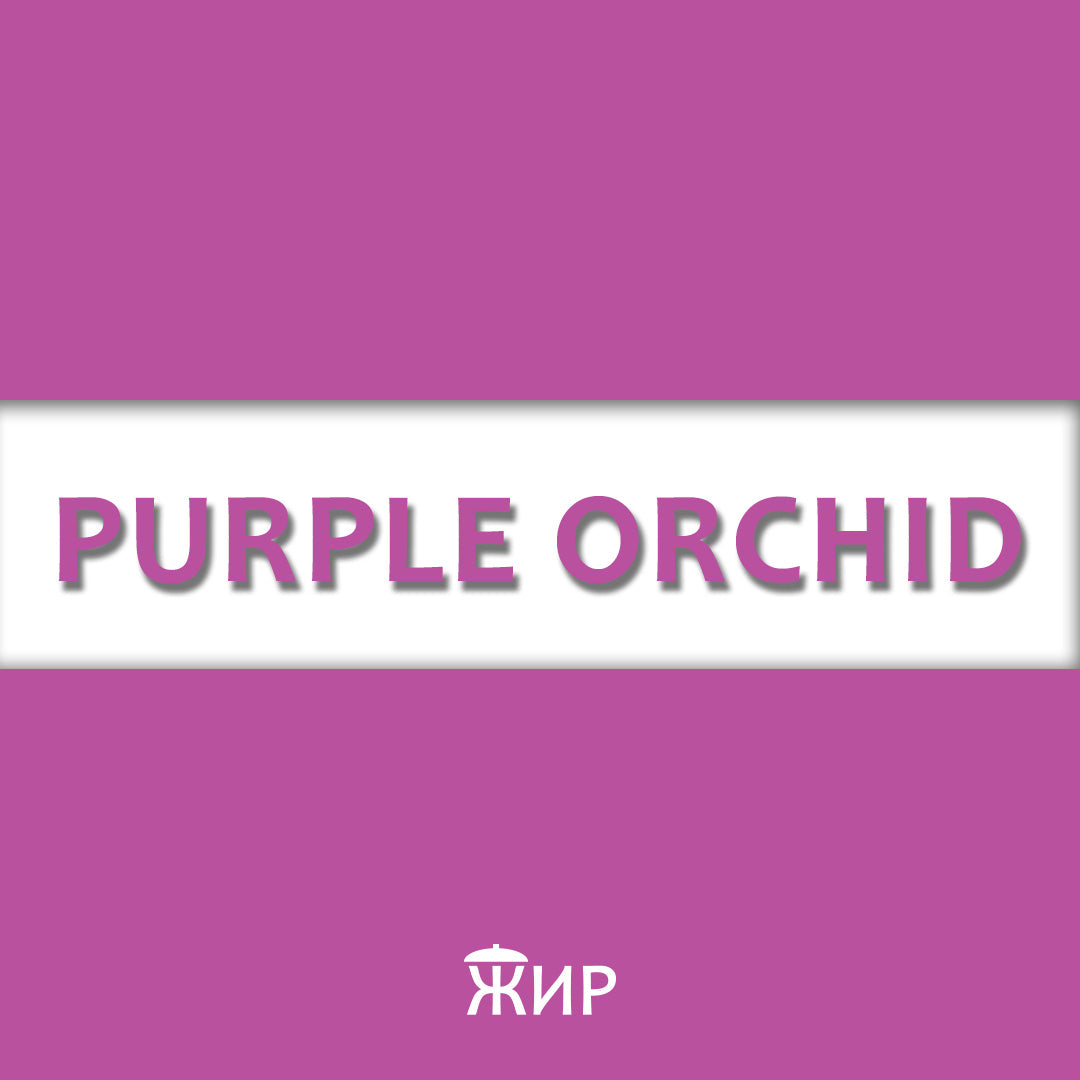 Purple Orchid