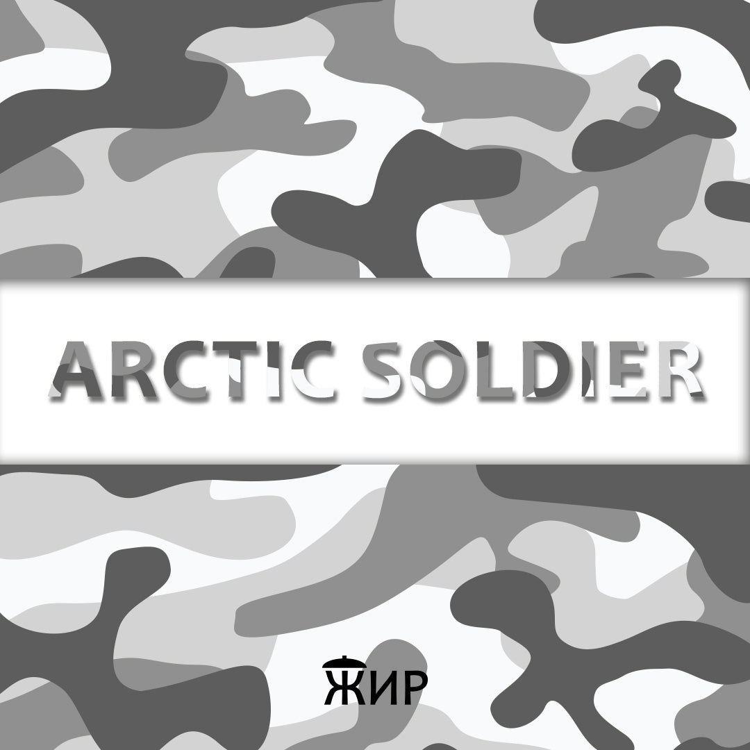 Artic Soldier