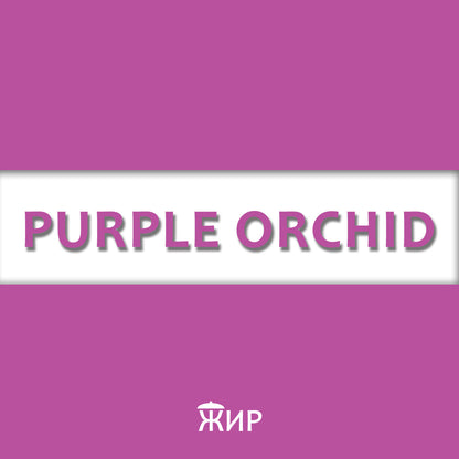 Purple Orchid