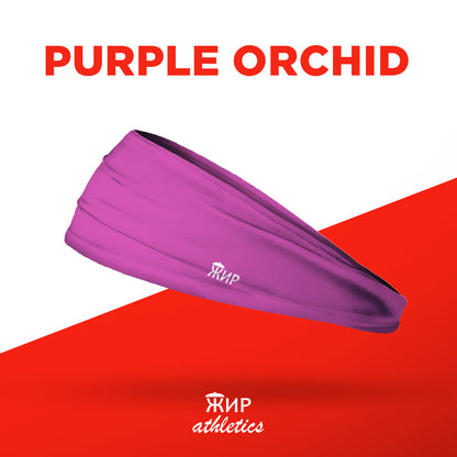 Purple Orchid