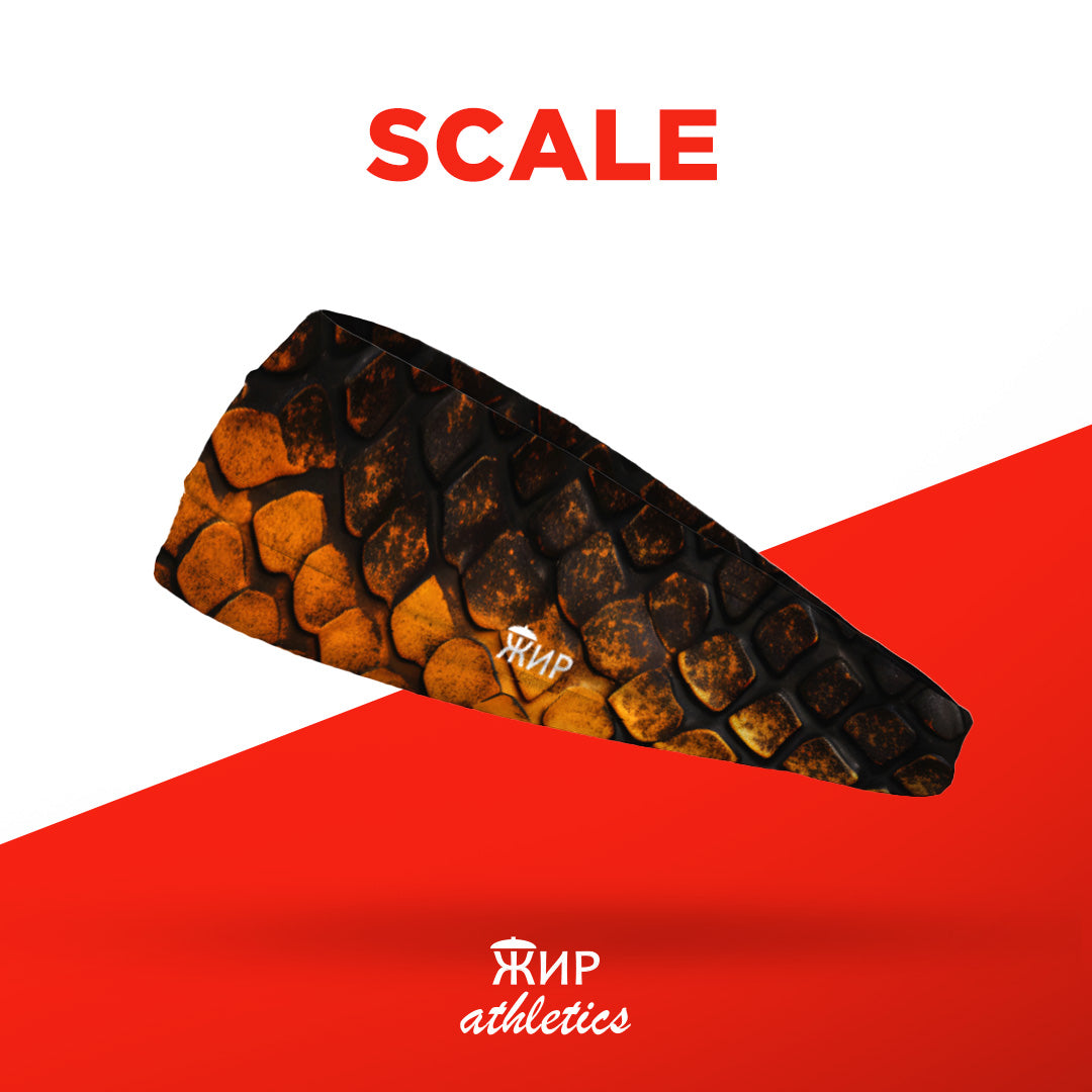 Scale