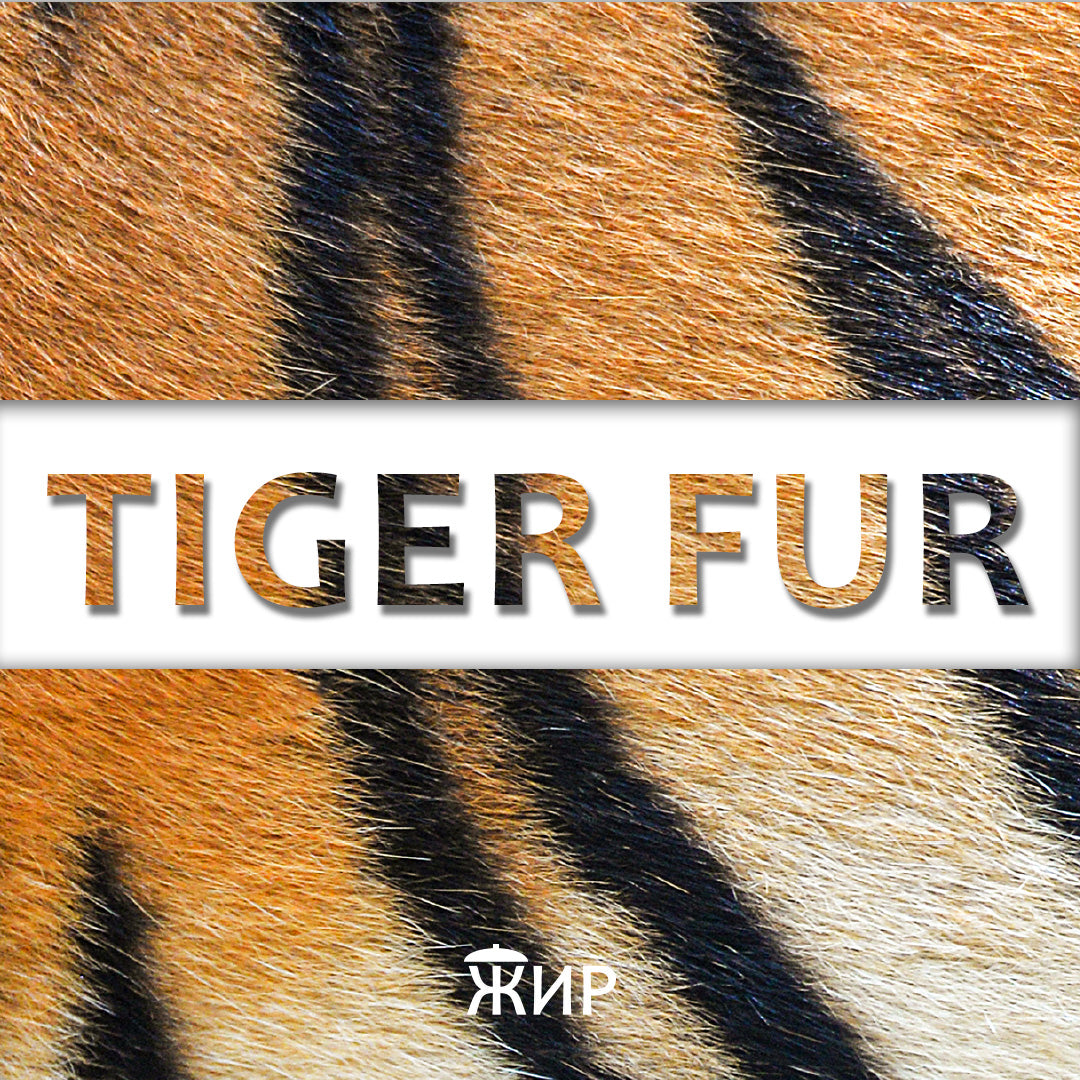 Low Cut Top M/L veličina